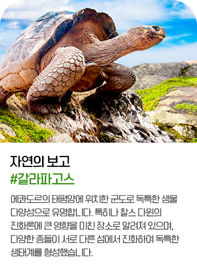 갈라파고스